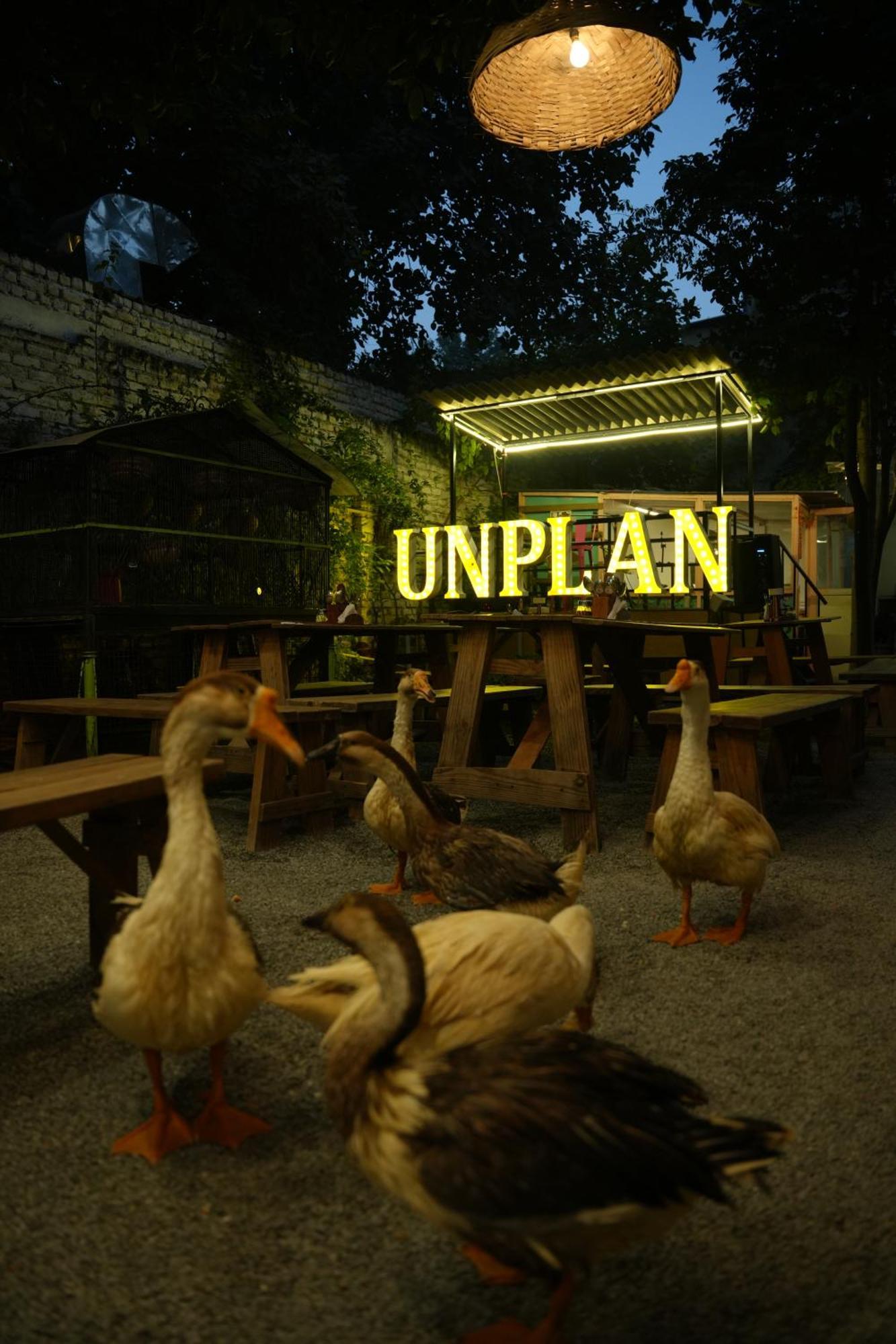 Unplanned Hostel Udaipur Exterior photo